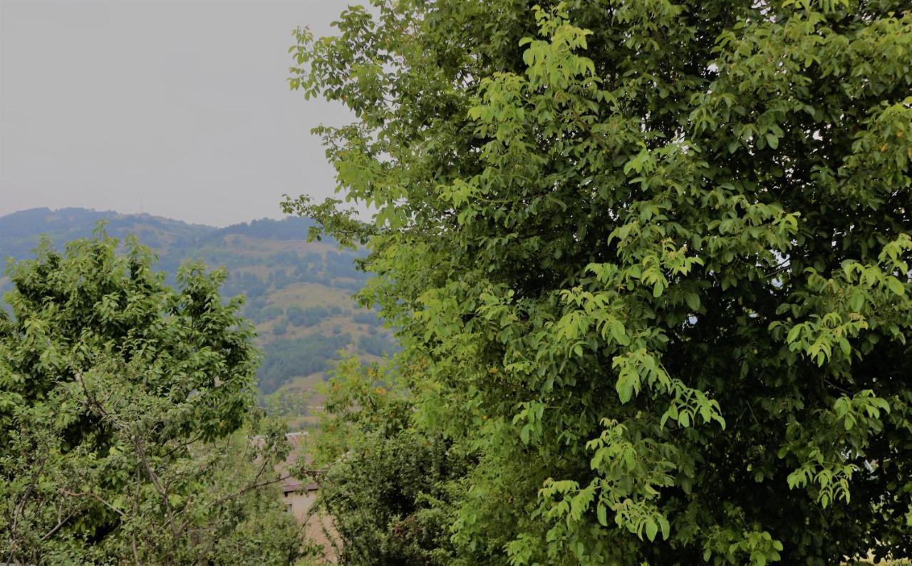 Dilijan Family House Vila Exterior foto